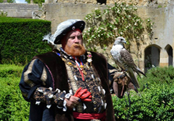 Henry VIII actor UK castle
